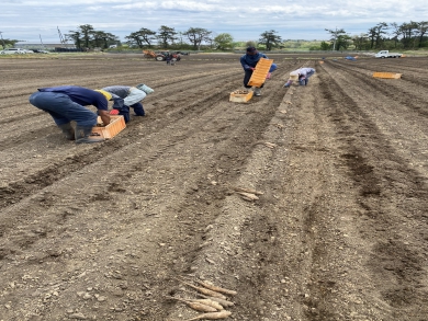 Now recruiting - 3 females to work on a farm